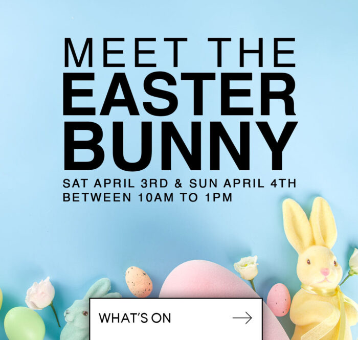 Website Dog Swamp Easter